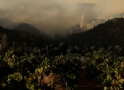 Evacuations ordered as wildfire blazes California's famed Napa County
