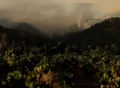Evacuations ordered as wildfire blazes California's famed Napa County