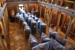 Hungary's oldest library is fighting to save 100,000 books from a beetle infestation
